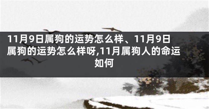 11月9日属狗的运势怎么样、11月9日属狗的运势怎么样呀,11月属狗人的命运如何