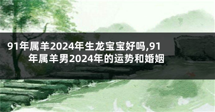 91年属羊2024年生龙宝宝好吗,91年属羊男2024年的运势和婚姻