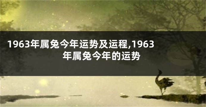 1963年属兔今年运势及运程,1963年属兔今年的运势