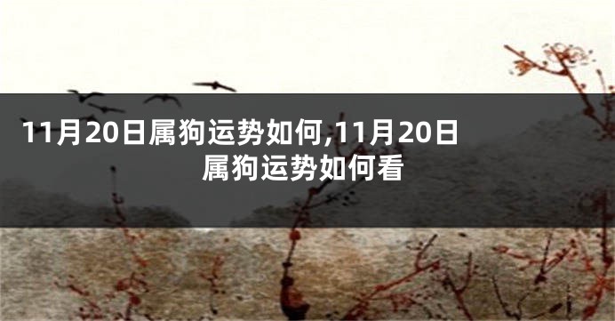 11月20日属狗运势如何,11月20日属狗运势如何看