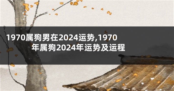 1970属狗男在2024运势,1970年属狗2024年运势及运程