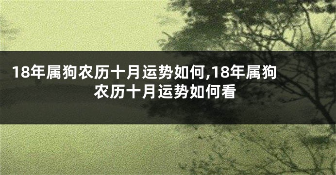 18年属狗农历十月运势如何,18年属狗农历十月运势如何看