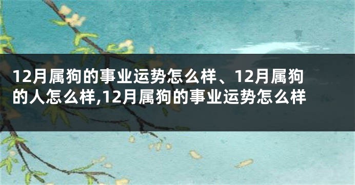 12月属狗的事业运势怎么样、12月属狗的人怎么样,12月属狗的事业运势怎么样