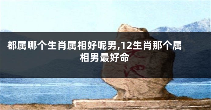 都属哪个生肖属相好呢男,12生肖那个属相男最好命