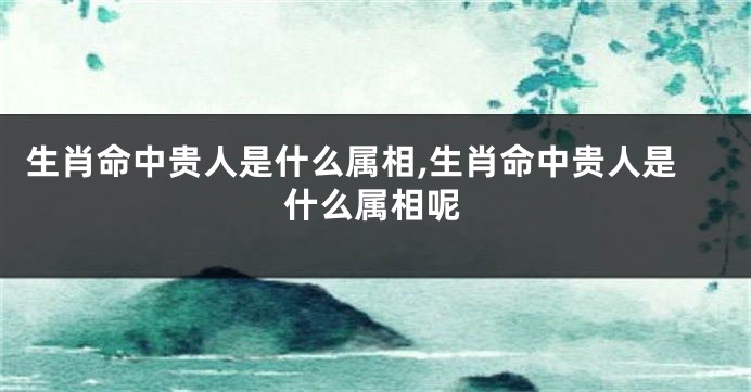 生肖命中贵人是什么属相,生肖命中贵人是什么属相呢