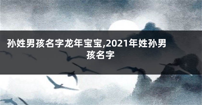 孙姓男孩名字龙年宝宝,2021年姓孙男孩名字