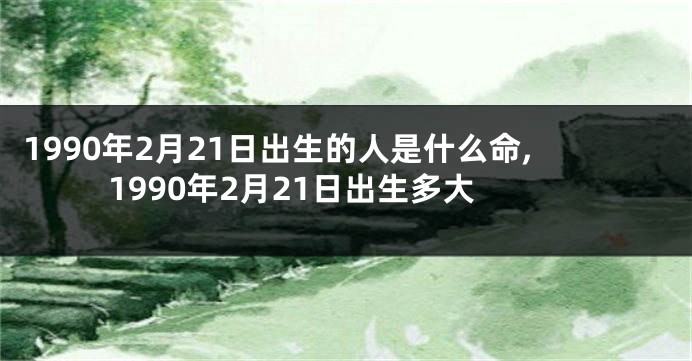 1990年2月21日出生的人是什么命,1990年2月21日出生多大