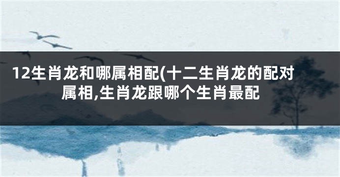 12生肖龙和哪属相配(十二生肖龙的配对属相,生肖龙跟哪个生肖最配