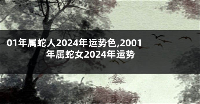 01年属蛇人2024年运势色,2001年属蛇女2024年运势