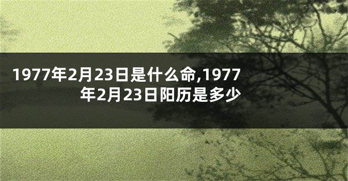 1977年2月23日是什么命,1977年2月23日阳历是多少