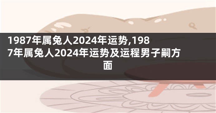 1987年属兔人2024年运势,1987年属兔人2024年运势及运程男子嗣方面