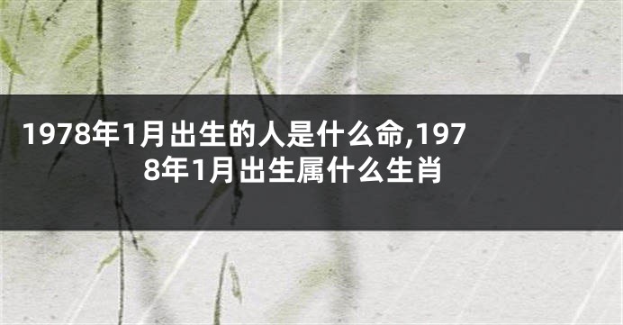 1978年1月出生的人是什么命,1978年1月出生属什么生肖