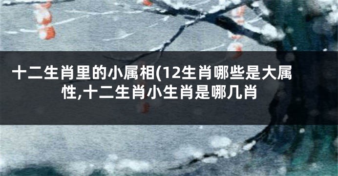 十二生肖里的小属相(12生肖哪些是大属性,十二生肖小生肖是哪几肖