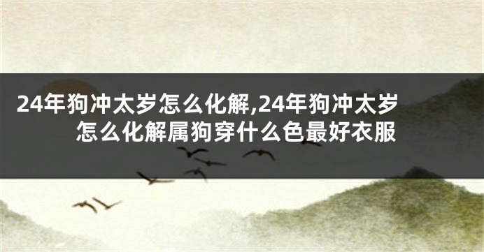 24年狗冲太岁怎么化解,24年狗冲太岁怎么化解属狗穿什么色最好衣服