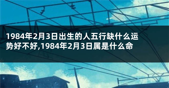 1984年2月3日出生的人五行缺什么运势好不好,1984年2月3日属是什么命