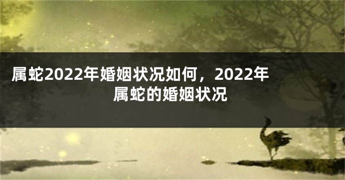 属蛇2022年婚姻状况如何，2022年属蛇的婚姻状况