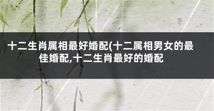 十二生肖属相最好婚配(十二属相男女的最佳婚配,十二生肖最好的婚配