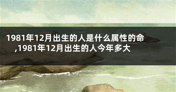 1981年12月出生的人是什么属性的命,1981年12月出生的人今年多大