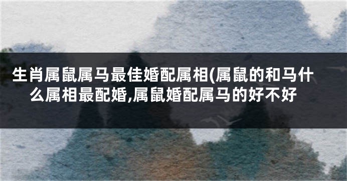 生肖属鼠属马最佳婚配属相(属鼠的和马什么属相最配婚,属鼠婚配属马的好不好