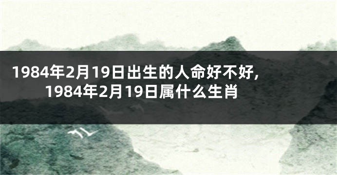 1984年2月19日出生的人命好不好,1984年2月19日属什么生肖