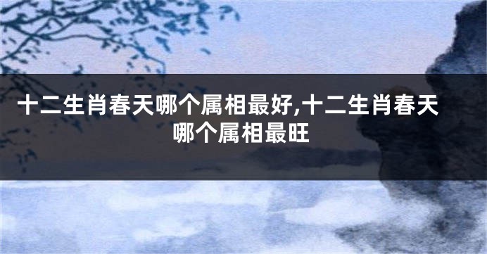 十二生肖春天哪个属相最好,十二生肖春天哪个属相最旺