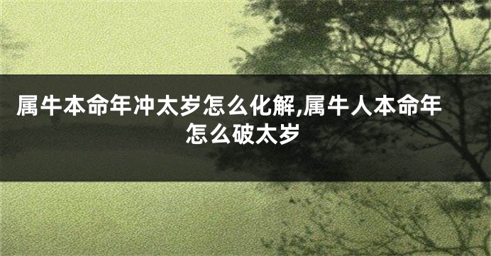 属牛本命年冲太岁怎么化解,属牛人本命年怎么破太岁