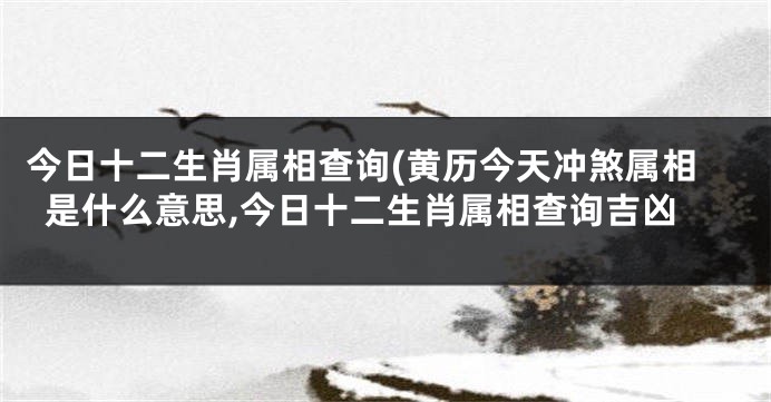 今日十二生肖属相查询(黄历今天冲煞属相是什么意思,今日十二生肖属相查询吉凶