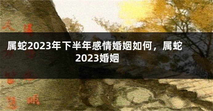 属蛇2023年下半年感情婚姻如何，属蛇2023婚姻