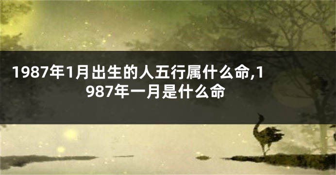 1987年1月出生的人五行属什么命,1987年一月是什么命