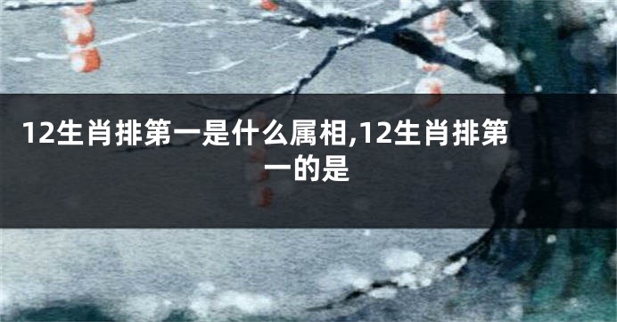 12生肖排第一是什么属相,12生肖排第一的是