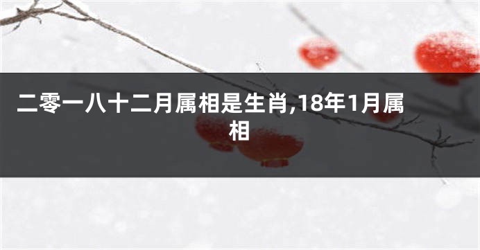 二零一八十二月属相是生肖,18年1月属相