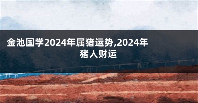 金池国学2024年属猪运势,2024年猪人财运