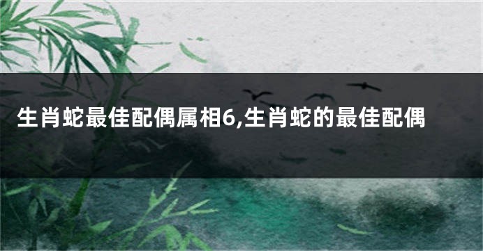 生肖蛇最佳配偶属相6,生肖蛇的最佳配偶