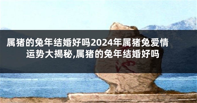 属猪的兔年结婚好吗2024年属猪兔爱情运势大揭秘,属猪的兔年结婚好吗