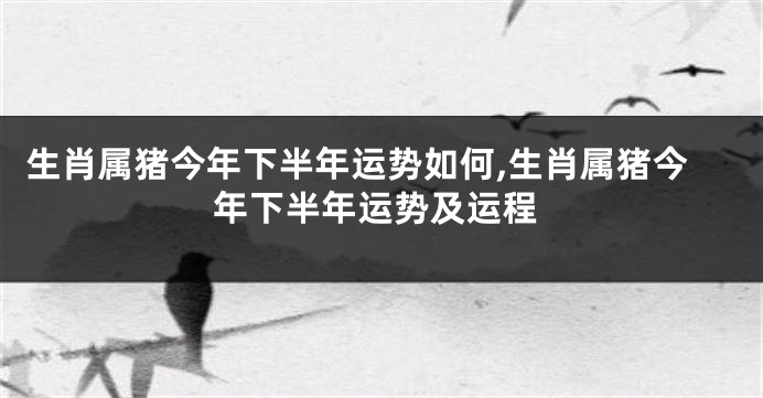 生肖属猪今年下半年运势如何,生肖属猪今年下半年运势及运程