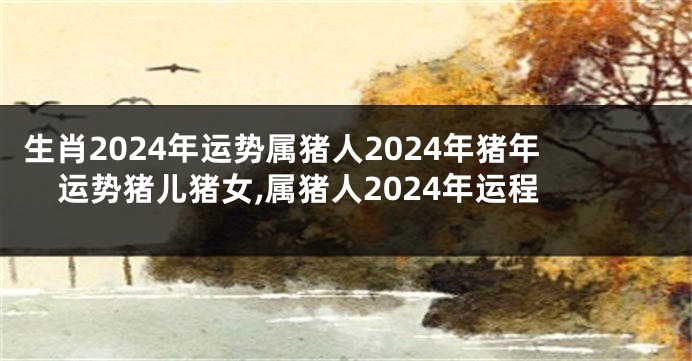 生肖2024年运势属猪人2024年猪年运势猪儿猪女,属猪人2024年运程