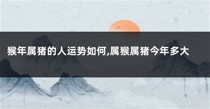 猴年属猪的人运势如何,属猴属猪今年多大