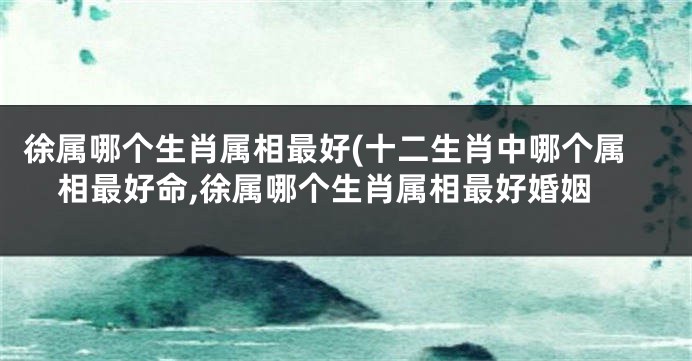 徐属哪个生肖属相最好(十二生肖中哪个属相最好命,徐属哪个生肖属相最好婚姻