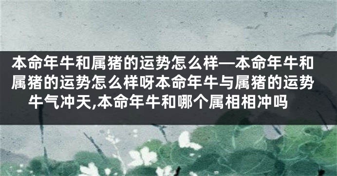 本命年牛和属猪的运势怎么样—本命年牛和属猪的运势怎么样呀本命年牛与属猪的运势牛气冲天,本命年牛和哪个属相相冲吗