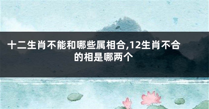 十二生肖不能和哪些属相合,12生肖不合的相是哪两个