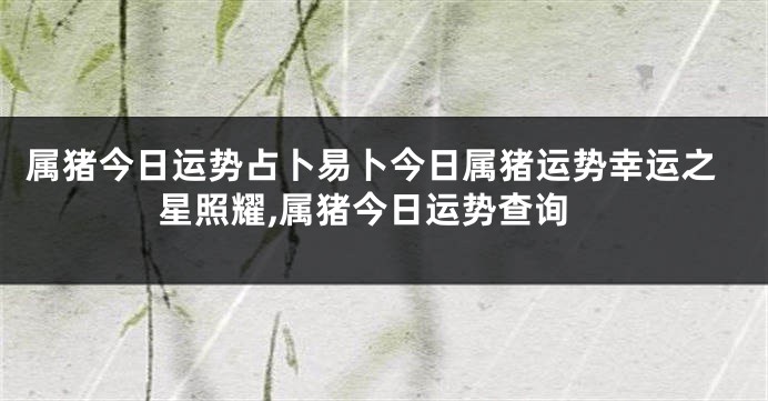 属猪今日运势占卜易卜今日属猪运势幸运之星照耀,属猪今日运势查询