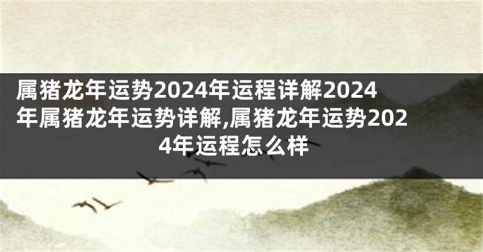 属猪龙年运势2024年运程详解2024年属猪龙年运势详解,属猪龙年运势2024年运程怎么样