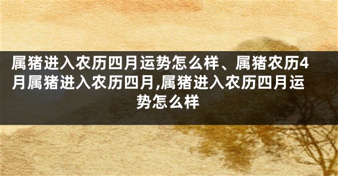 属猪进入农历四月运势怎么样、属猪农历4月属猪进入农历四月,属猪进入农历四月运势怎么样