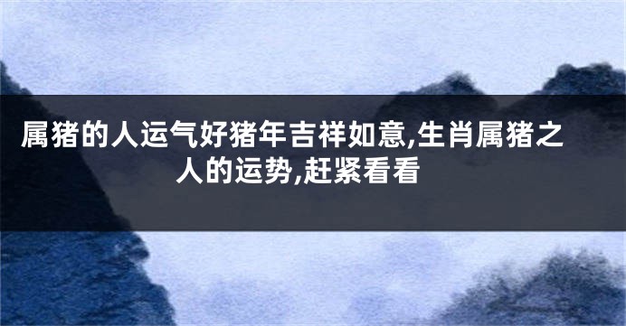 属猪的人运气好猪年吉祥如意,生肖属猪之人的运势,赶紧看看