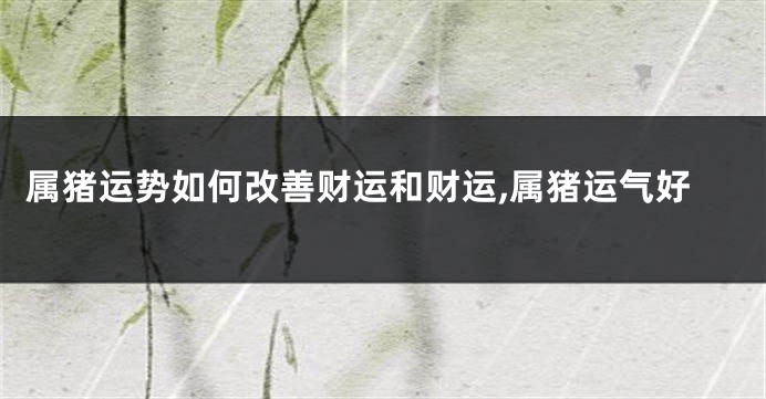 属猪运势如何改善财运和财运,属猪运气好