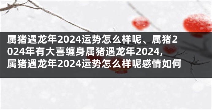 属猪遇龙年2024运势怎么样呢、属猪2024年有大喜缠身属猪遇龙年2024,属猪遇龙年2024运势怎么样呢感情如何