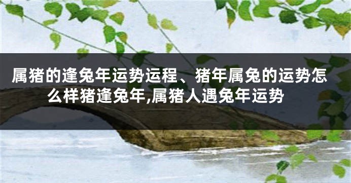 属猪的逢兔年运势运程、猪年属兔的运势怎么样猪逢兔年,属猪人遇兔年运势