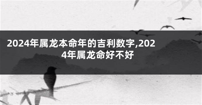 2024年属龙本命年的吉利数字,2024年属龙命好不好