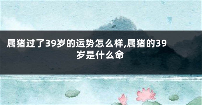 属猪过了39岁的运势怎么样,属猪的39岁是什么命