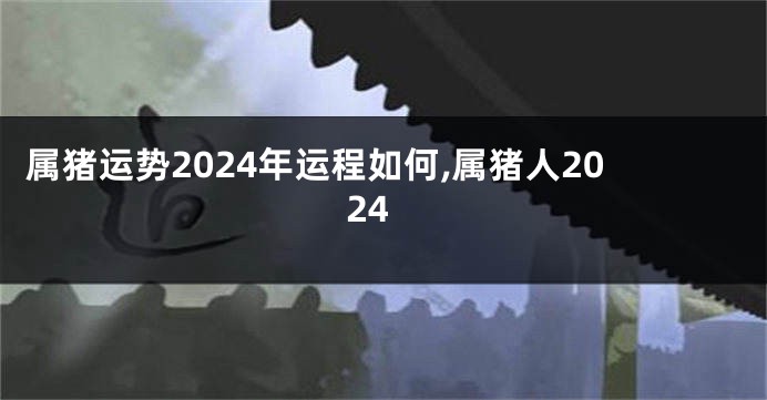 属猪运势2024年运程如何,属猪人2024